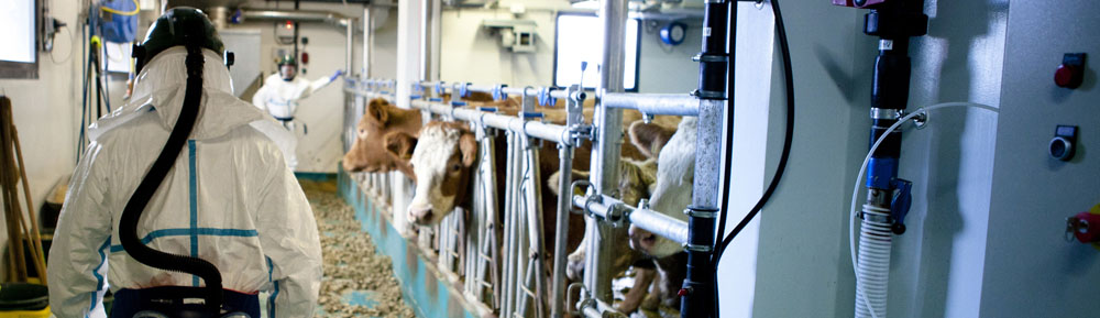 Plateforme d'infectiologie experimentale