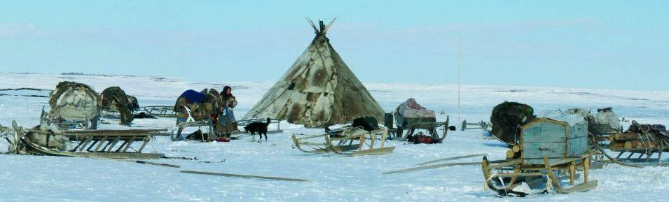 arctique carousel